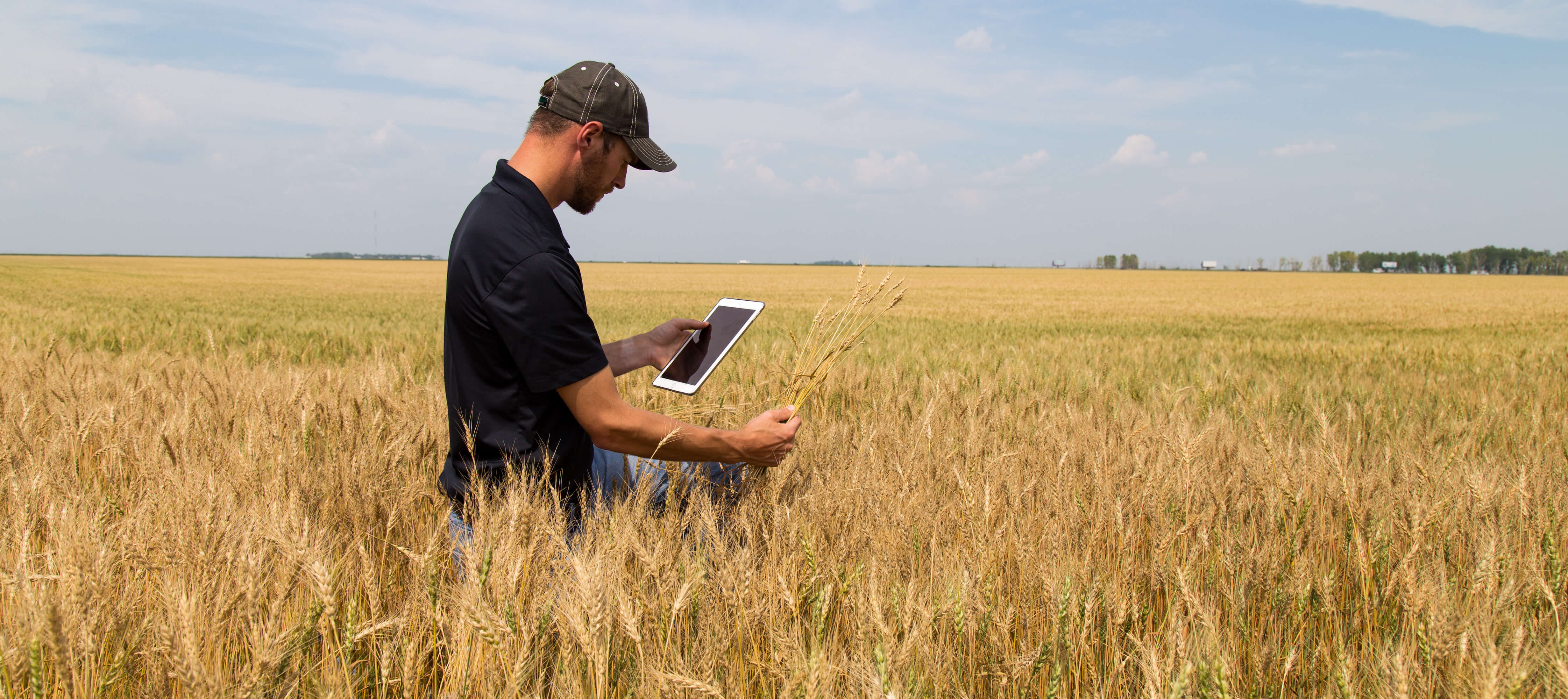 AdobeStock_169449857