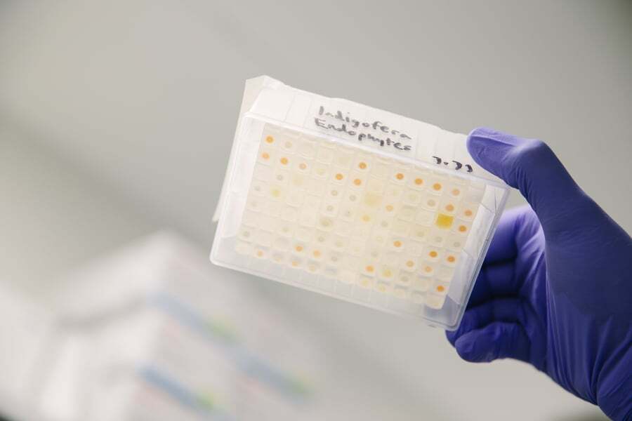 indigo_biological_science_web_2021-2