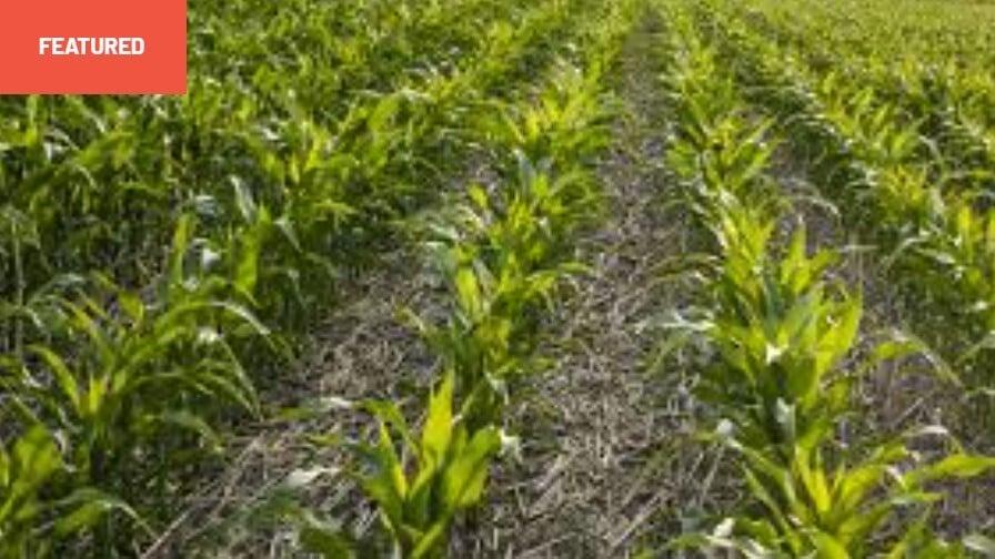 Microsoft press release image-1