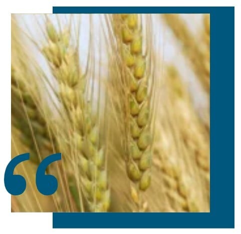 Screenshot 2025-06-19 151908