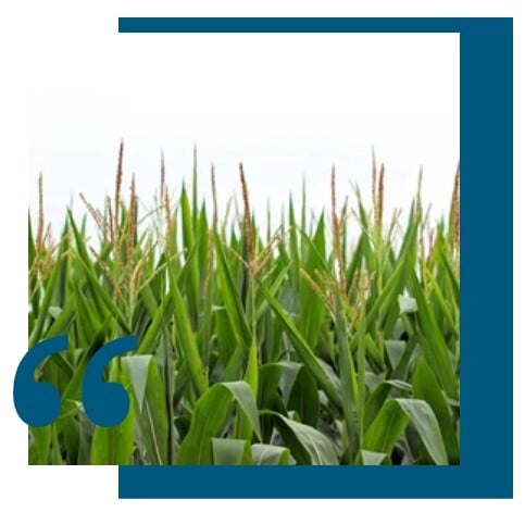 Screenshot 2025-06-19 152305