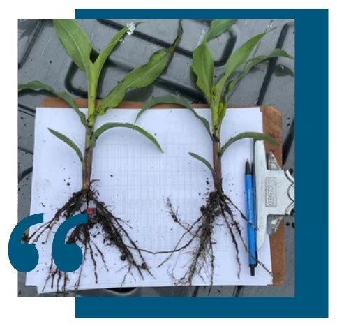 Screenshot 2025-06-19 152518