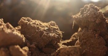 close up of soil